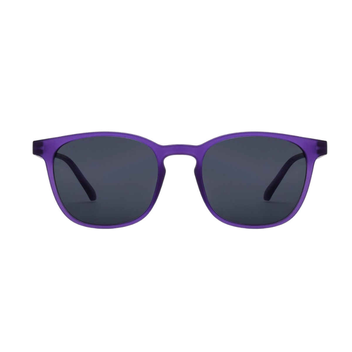 Lenskart Hustlr Unisex Sunglasses | Violet and Grey