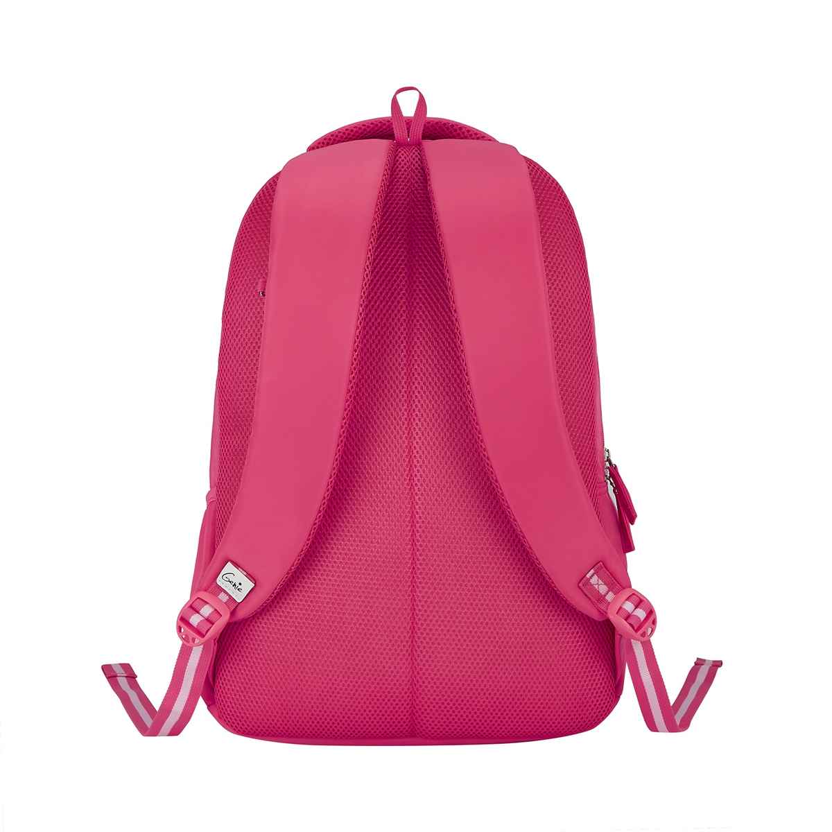 Genie Women's Nylon 36 L Backpack | Pink