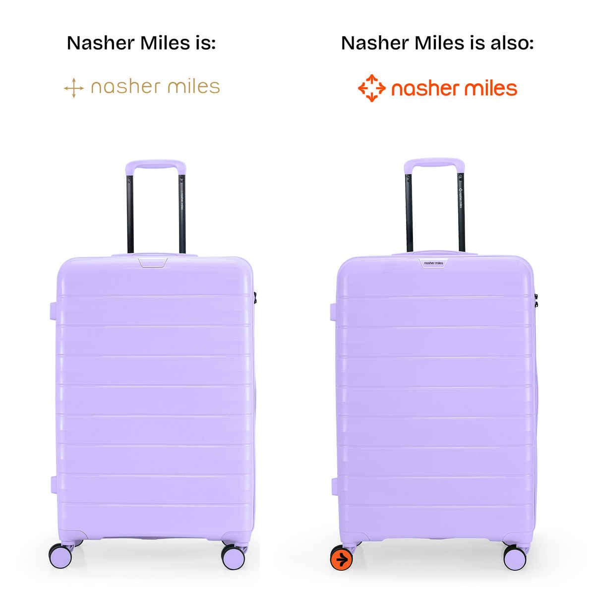 Nasher Miles Vienna Check-In Hard Sided Polypropylene 24 Inch|65 cm Trolley Bag - Purple