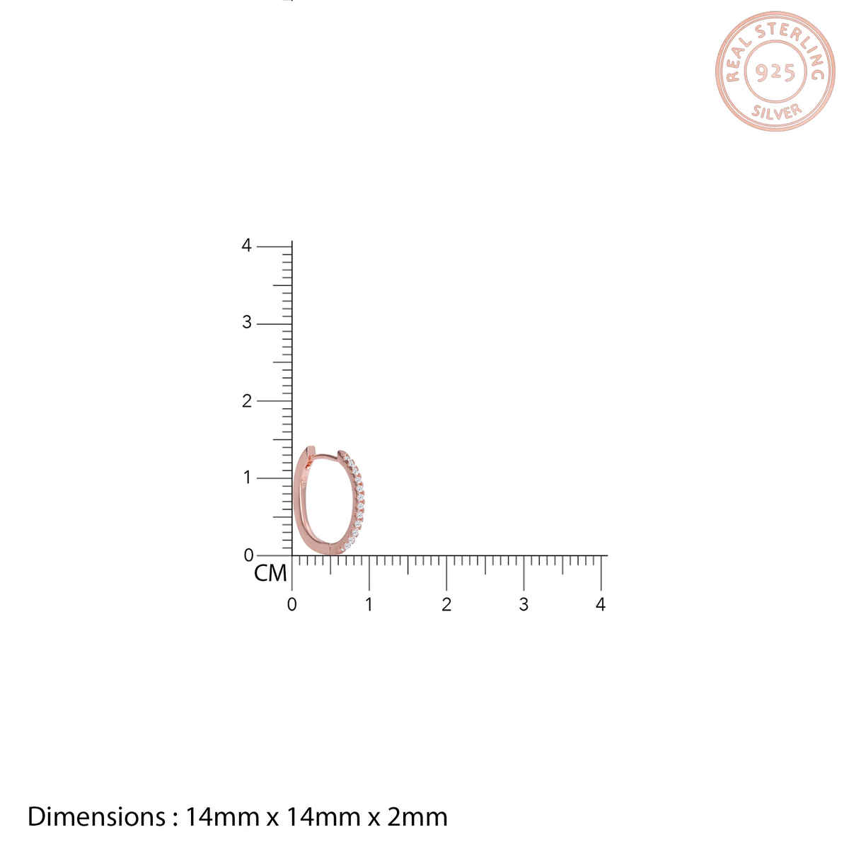 Giva Rose Gold Shining Hoop Earrings | ER0273