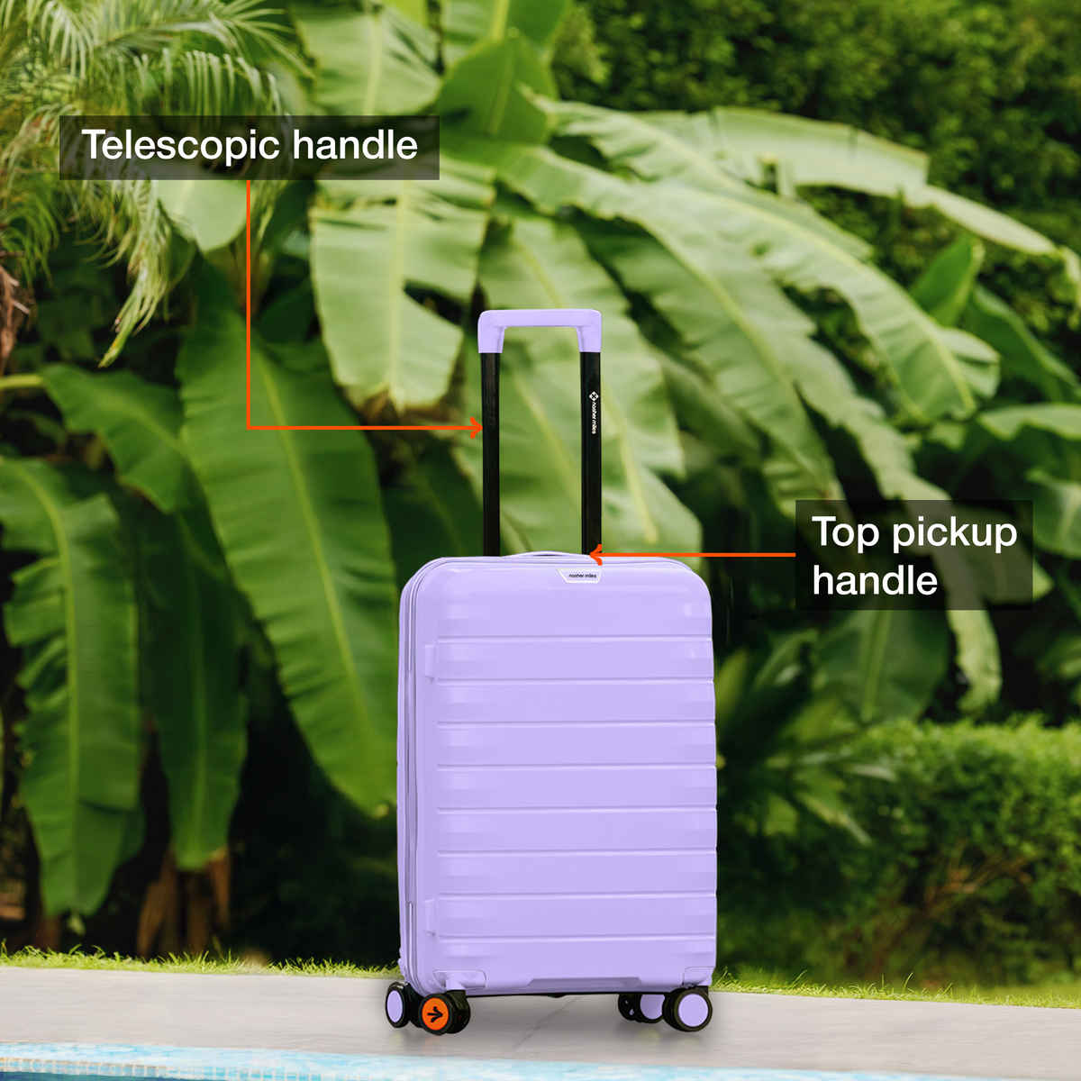 Nasher Miles Vienna Cabin Hard Sided Polypropylene 20 Inch|55 cm Trolley Bag - Purple