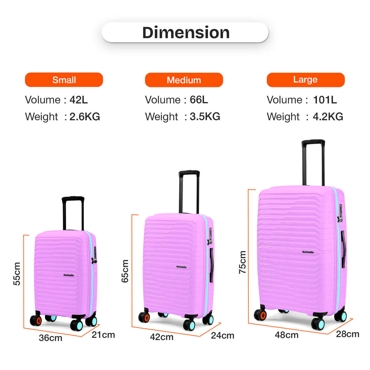 Nasher Miles Cairo Hard-Sided Polypropylene Cabin Luggage | Small | Purple & Blue - 55 cm