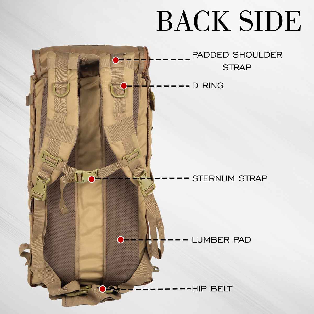 F Gear Unisex Solid Polyester 36 L Rucksack | Khaki