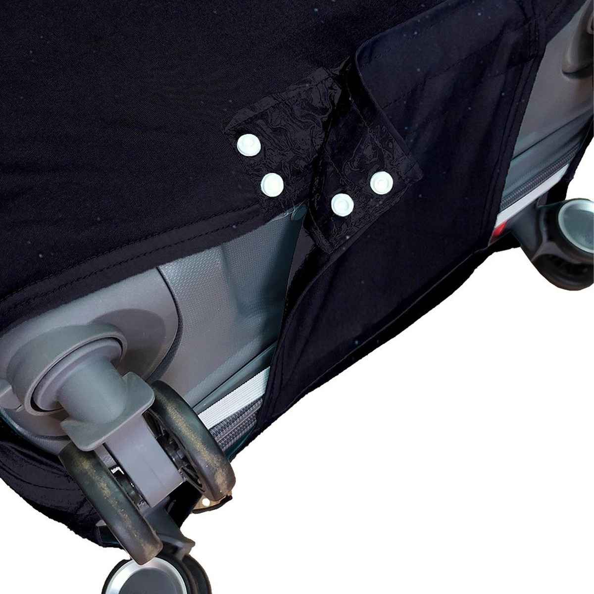 Cortina Elastic Whale Printed Luggage Cover | Blue & Black - M