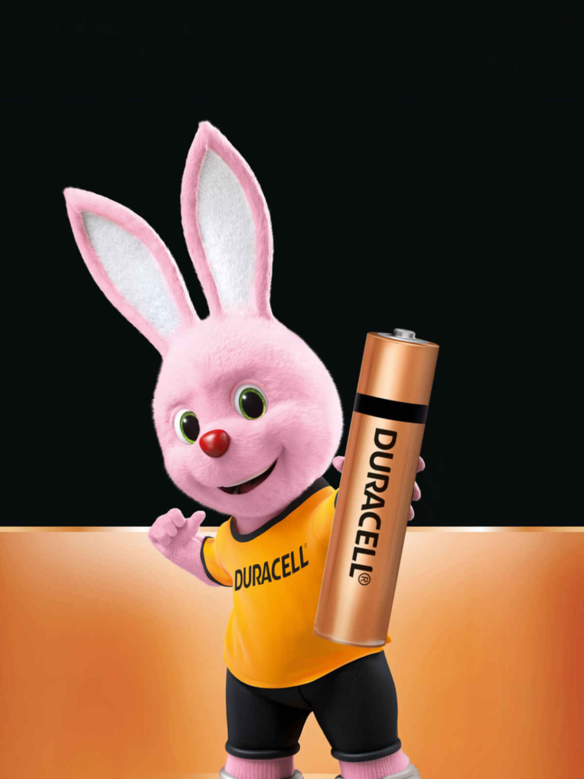 Duracell Alkaline AA Batteries | Long-lasting | Pack of 2