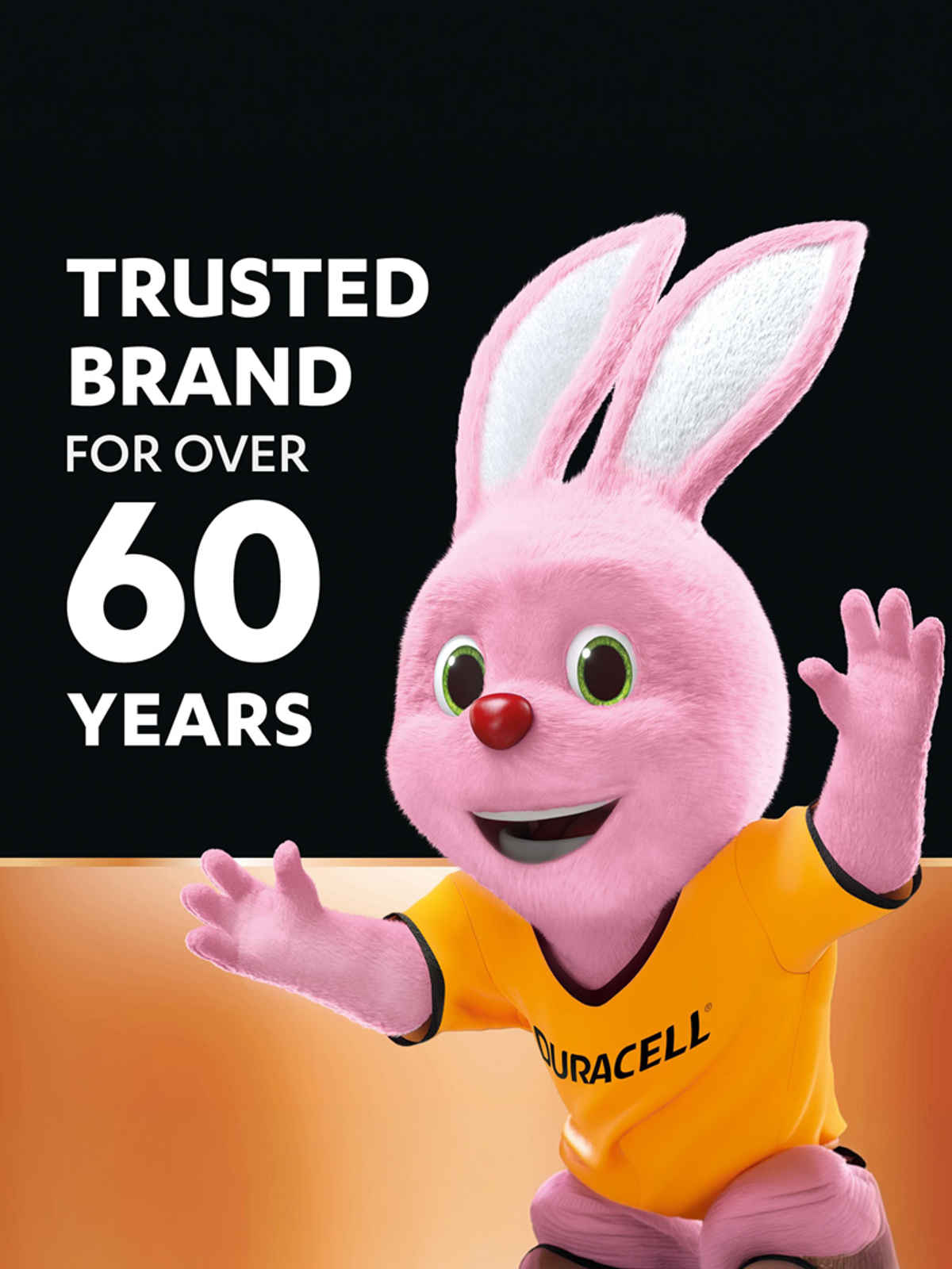 Duracell Alkaline AA Batteries | Long-lasting | Pack of 2
