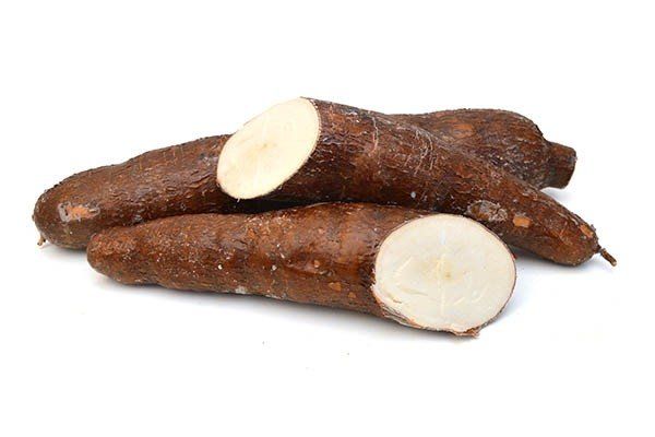 Tapioca