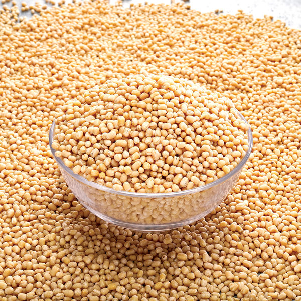 Loose Urad Whole Gota