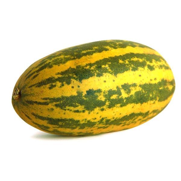 Sambar cucumber