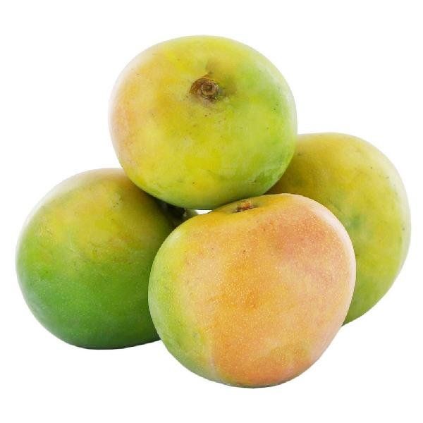 Mango Rumani