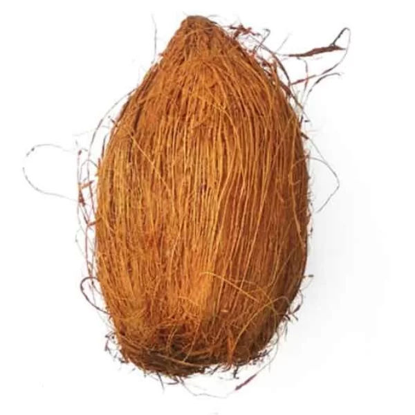 Coconut Kalash