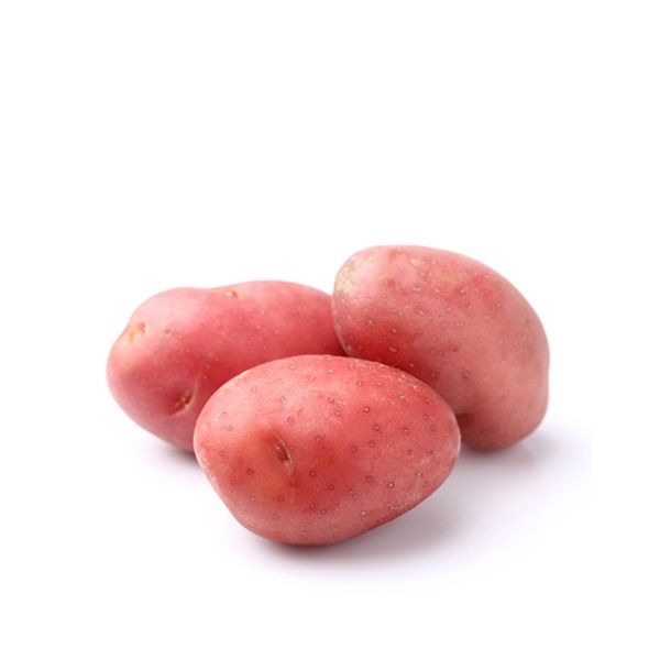 Potato Red