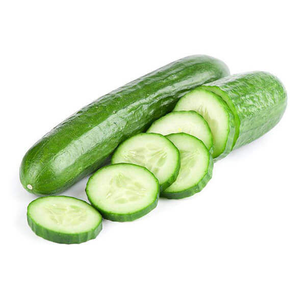  Gourmet Garden Hydroponic English Cucumber