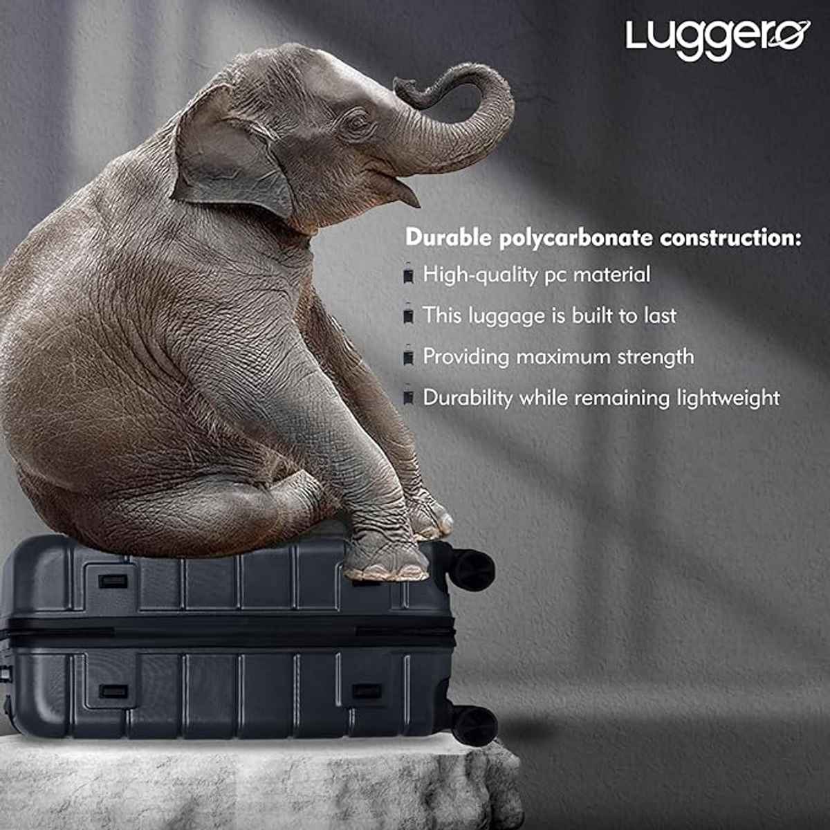 Luggero Eternal Trolley Bag | Dark Grey - S