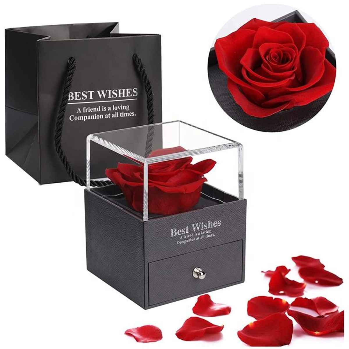 Beautynx Rose & Sparkle Gift | BNX-GF-00060