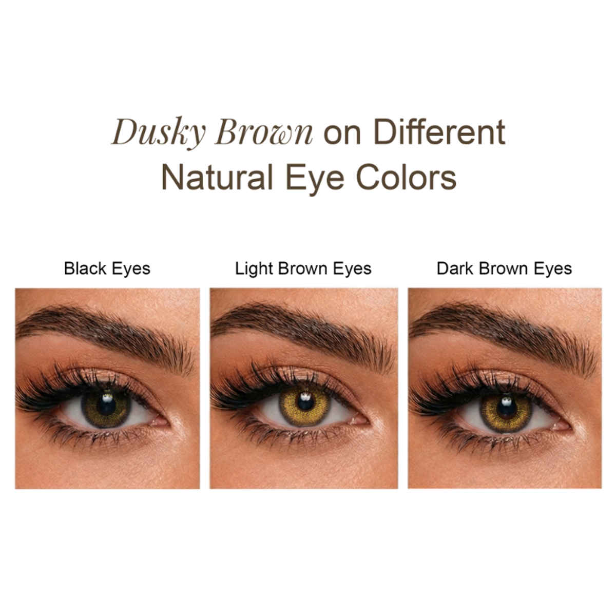 Aquacolor Premium Contact with Zero Power Monthly Disposable Lens Dusky Brown