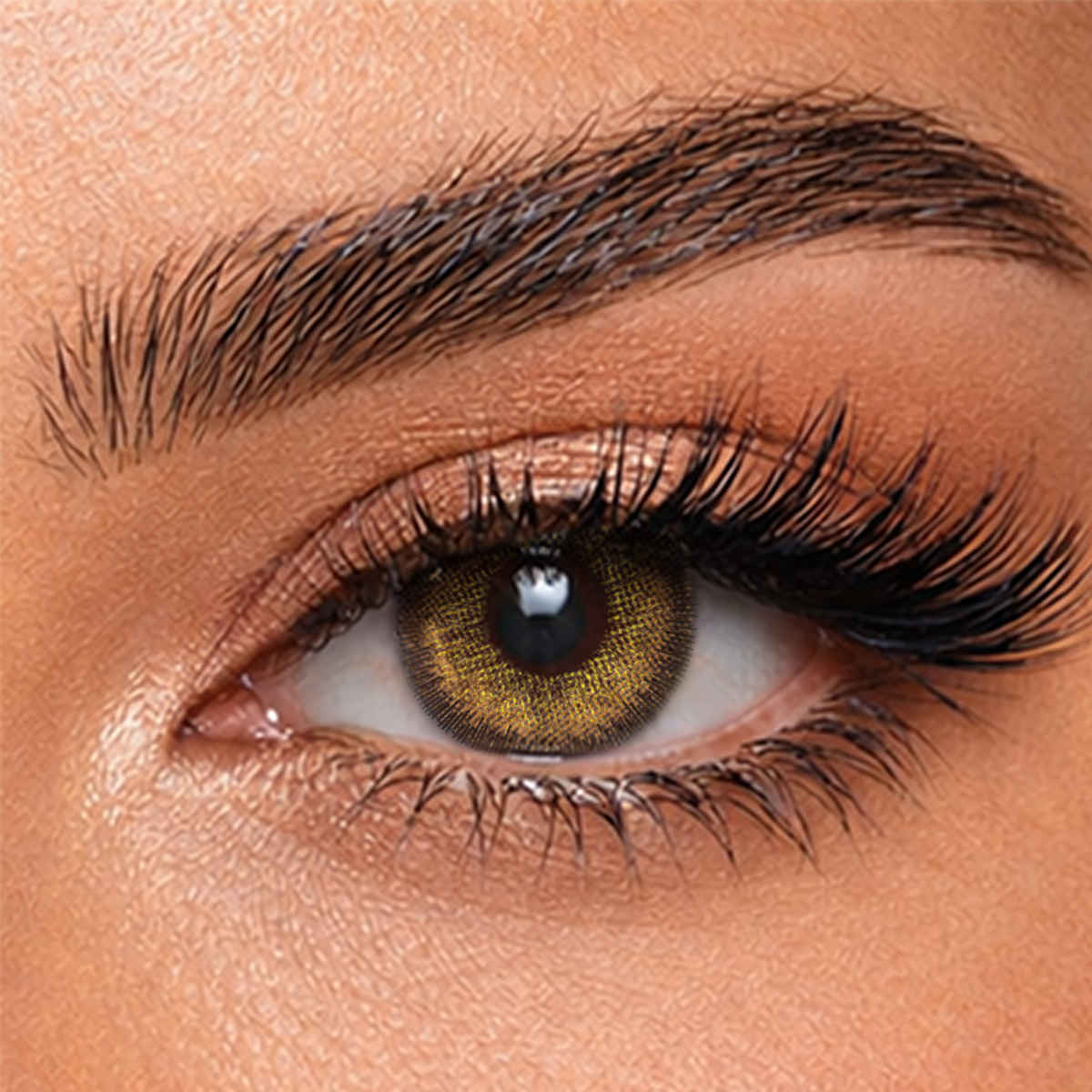 Aquacolor Premium Contact with Zero Power Monthly Disposable Lens Dusky Brown