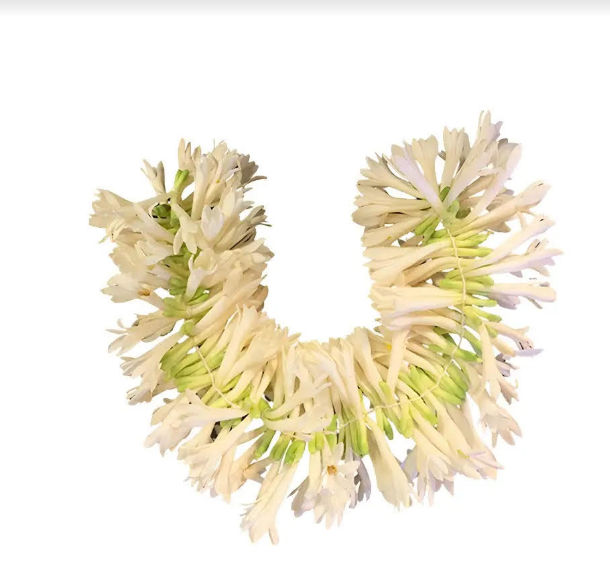 Rajnigandha Flower String