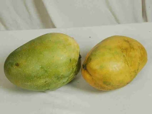 Mango Himampasand