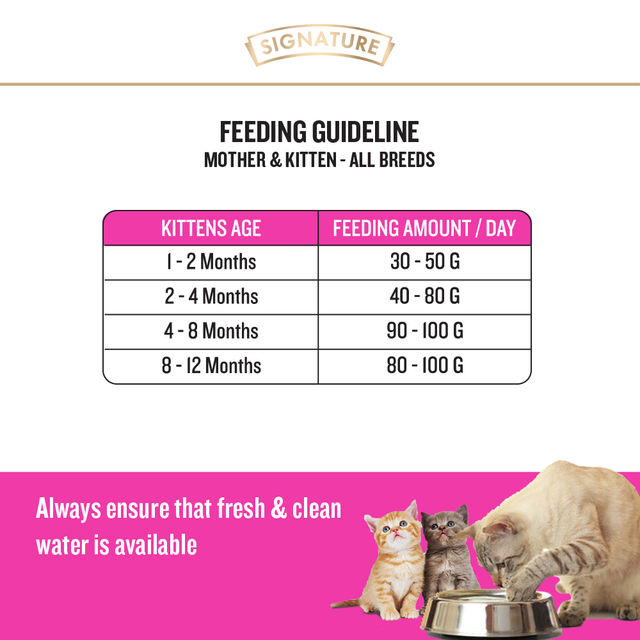 Signature Grain Zero Kitten Dry Cat Food Free With Container