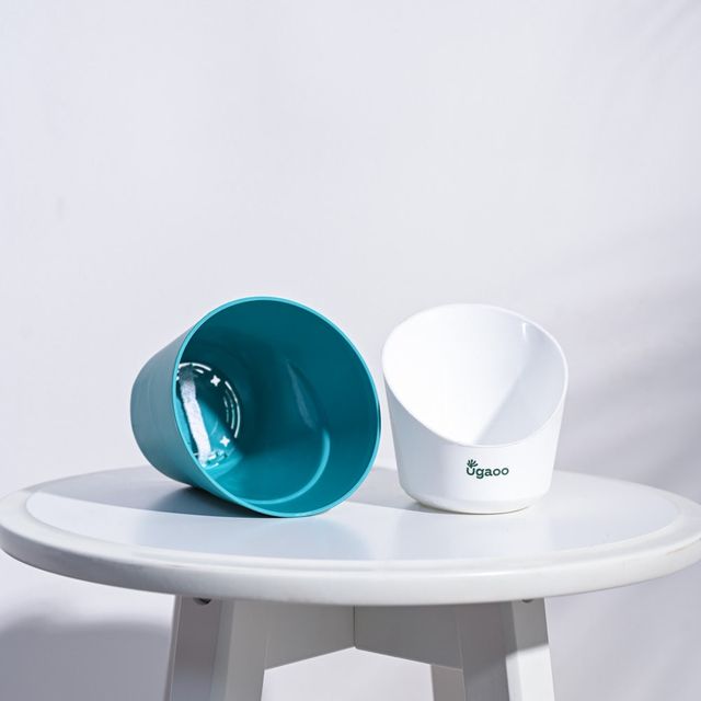 03ce5fa5-ce63-4fae-a497-64a3787eda35.jpg