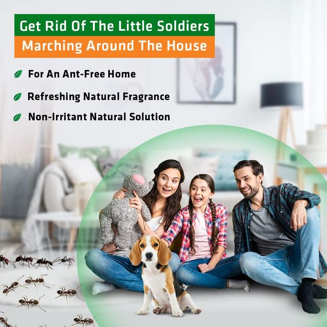 Herbal Strategi Ant Repellent