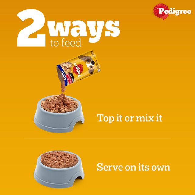 Pedigree Adult Chicken & Liver Chunks In Gravy Wet Dog Food