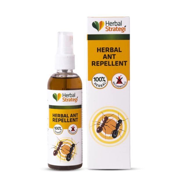 Herbal Strategi Ant Repellent