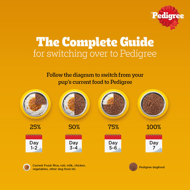 Pedigree Adult Chicken & Liver Chunks In Gravy Wet Dog Food
