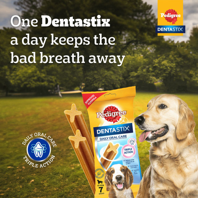 Pedigree Dentastix Adult Medium Breed (10-25 Kg) Oral Care Dog Treat, 180g, Pack of 2