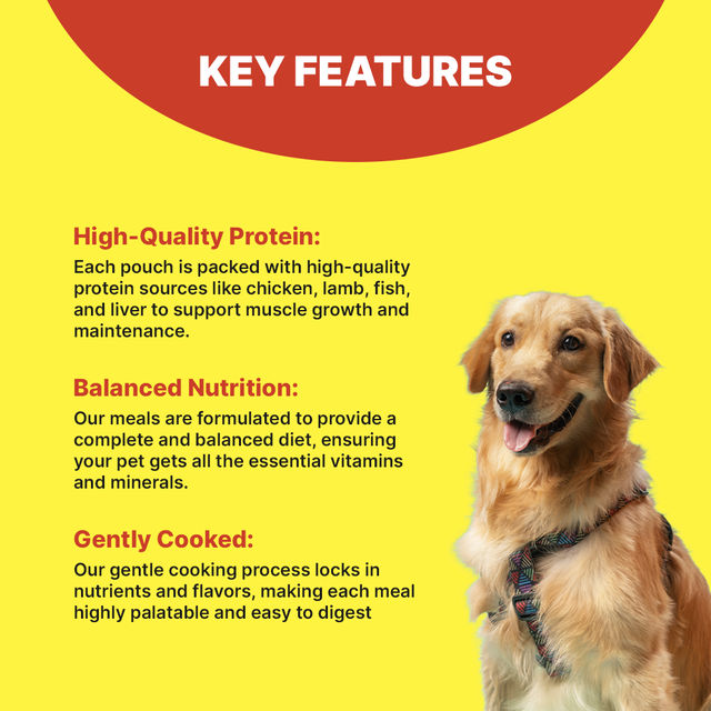 Gobble Fish And Rice Dog FOOD 300 g X 2 Combo