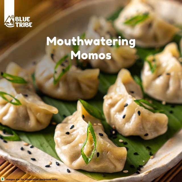 Blue Tribe Foods Plant Based Momo 100% Vegetarian
