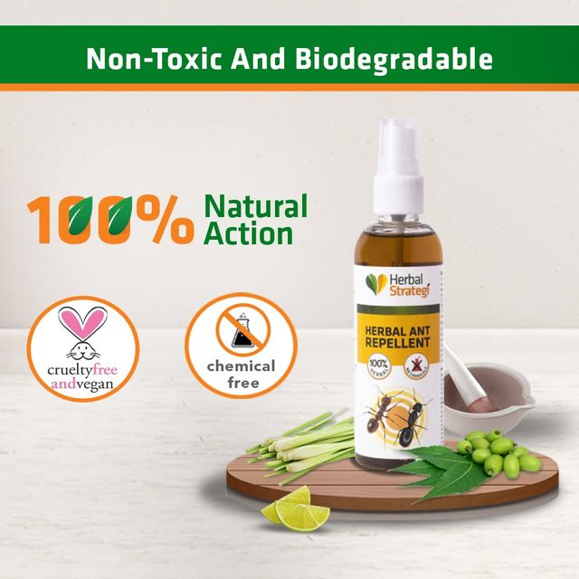 Herbal Strategi Ant Repellent