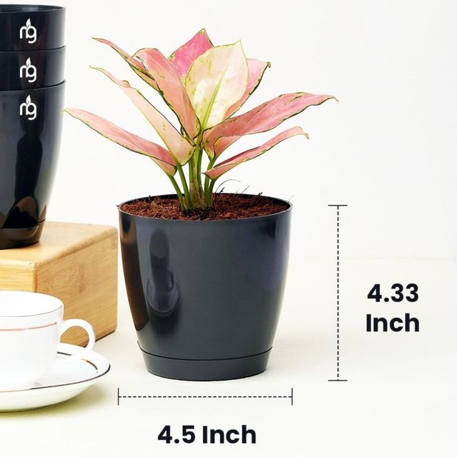 Nurturing Green - Self Watering Pot | Set of 1 | Black | Size: 11.5cm x 11cm | Plastic Flower Pots 1 pc X 2 Combo