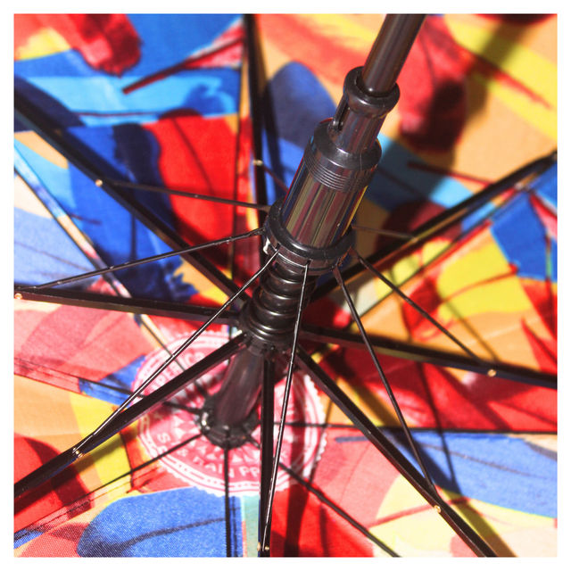 Kids Umbrella - 17 inch (Colour May Vary)