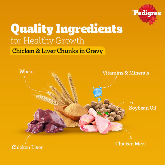 Pedigree Puppy Chicken & Liver Chunks In Gravy Wet Dog Food