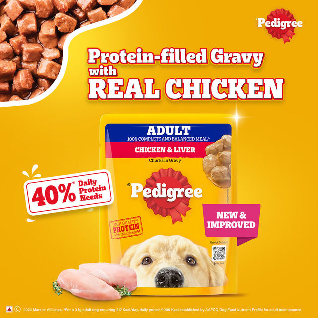 Pedigree Adult Chicken & Liver Chunks In Gravy Wet Dog Food, 15 x 70g,Pack of 2