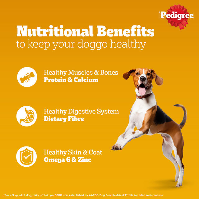 Pedigree Adult Chicken & Liver Chunks In Gravy Wet Dog Food