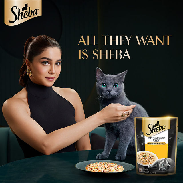 Sheba Fine Adult Tuna Pumpkin & Carrot in Gravy Wet Cat Food