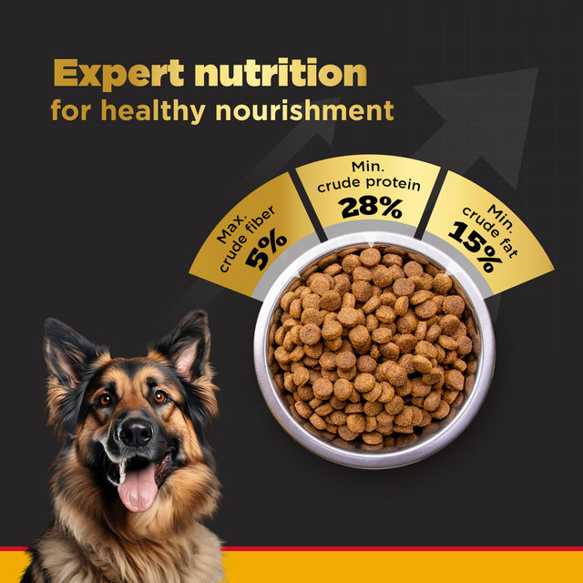 Pedigree PRO Adult Large Breed (18 Months+) Dog Food