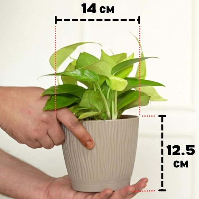 Nurturing Green - Mocha Self Watering Pots | Set of 5 | 14cm x 12.5cm | Flower Pots for Plants