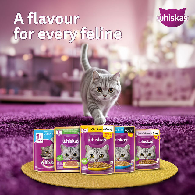 Whiskas Adult Salmon in Gravy Wet Cat Food
