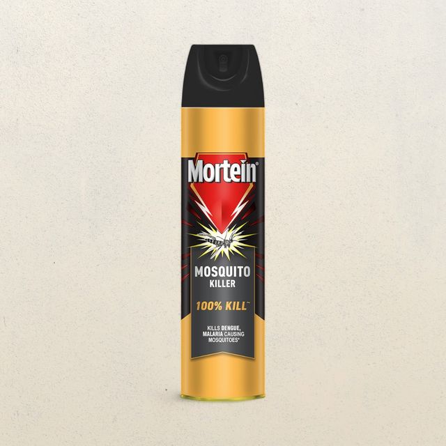 Mortein Fly & Mosquito Repellent Spray