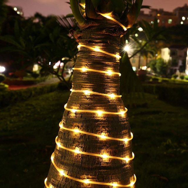 4a0439ad-30f4-49b9-b0b6-dee27b8d5ee3.jpg