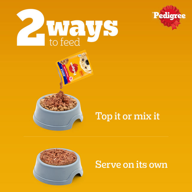 Pedigree Adult Chicken & Liver Chunks In Gravy Wet Dog Food