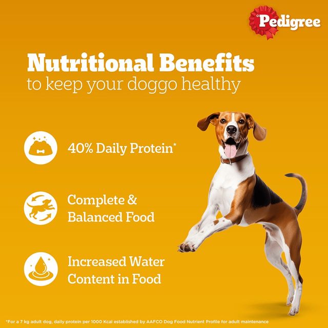 Pedigree Adult Chicken & Liver Chunks In Gravy Wet Dog Food