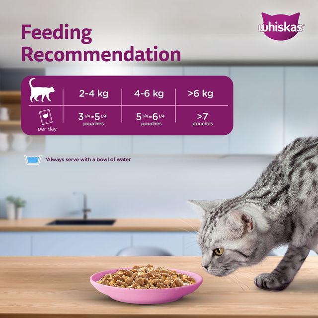 Whiskas Adult Salmon in Gravy Wet Cat Food