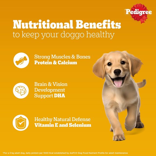 Pedigree Puppy Chicken & Liver Chunks In Gravy Wet Dog Food