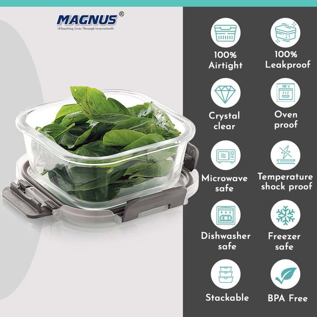 Magnus Glock 520 ml Square Grey Container with Airtight Lid & Detachable Lock, Borosilicate Glass