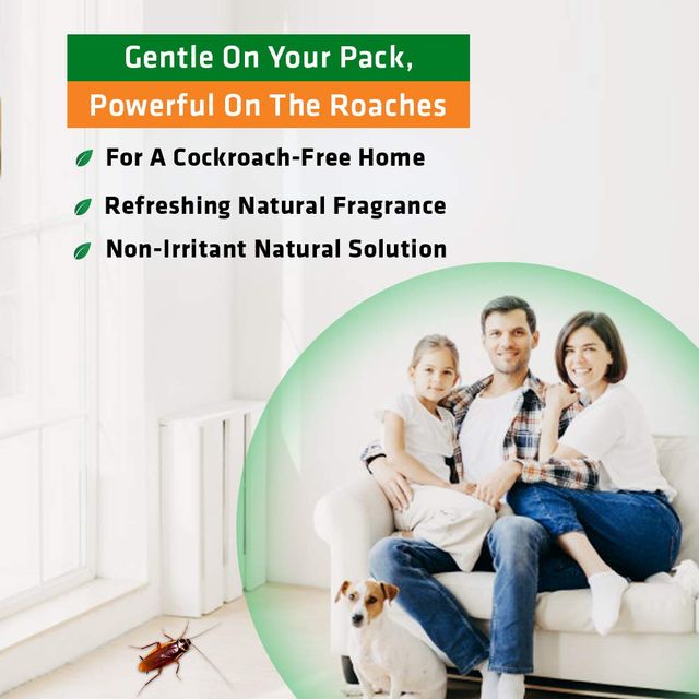Herbal Strategi Cockroach Repellent